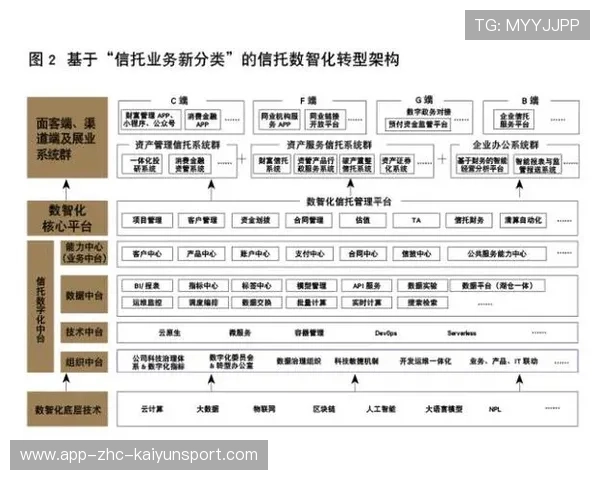 新闻中心发布高层管理结构调整拓展国际化战略格局，高层管理的角色与定位
